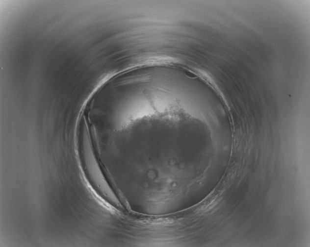 X0000064740851200602241754