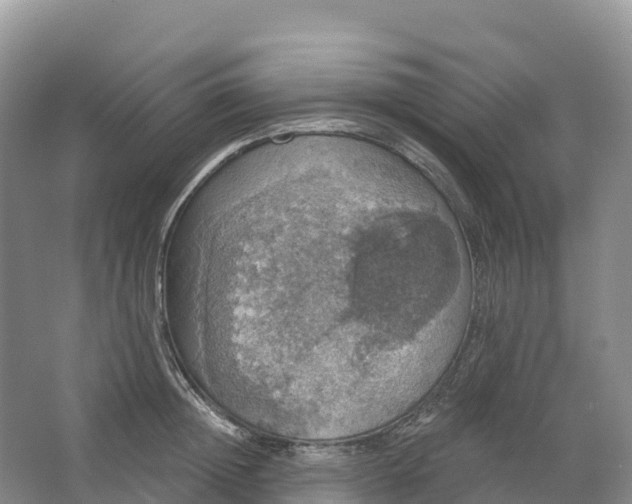 X0000064740852200602241754