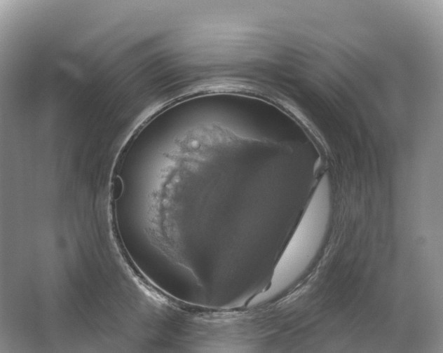 X0000064740853200602241754