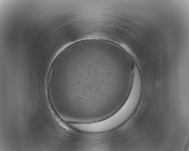 X0000064740854200602241754