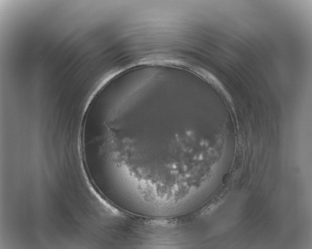 X0000064740855200602241754