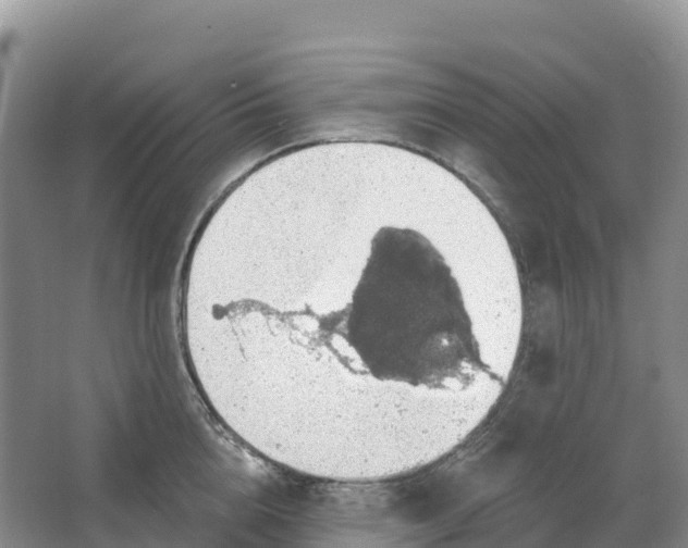 X0000064740856200602241754