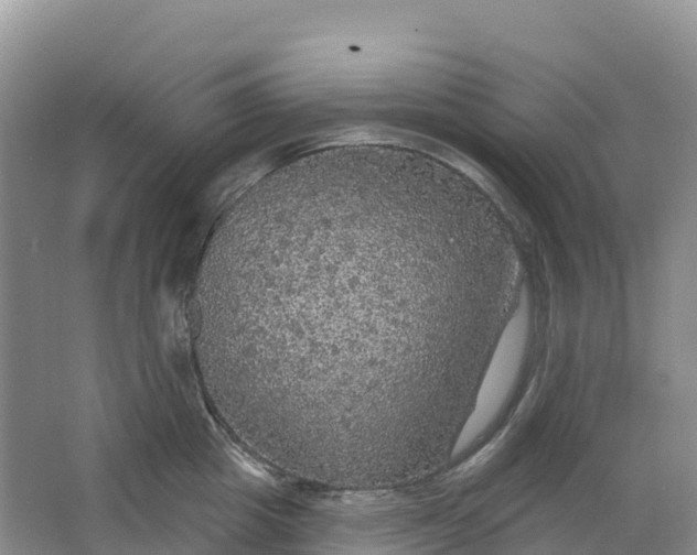 X0000064740857200602241754