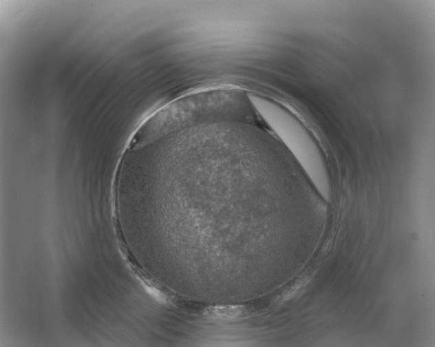 X0000064740858200602241754