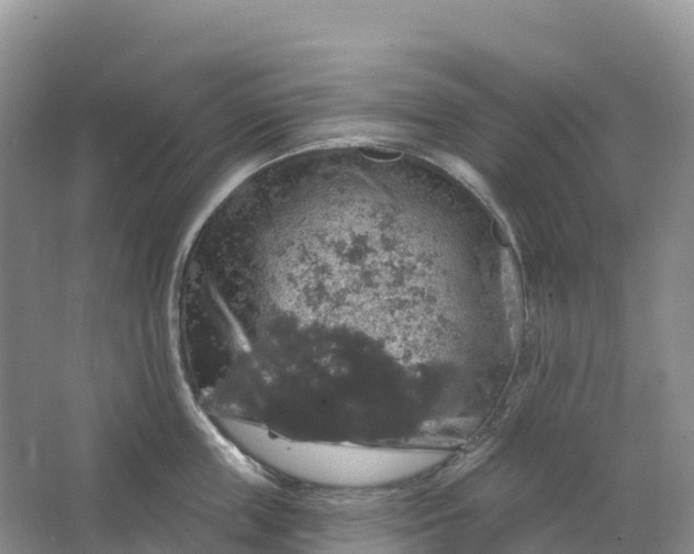 X0000064740859200602241754