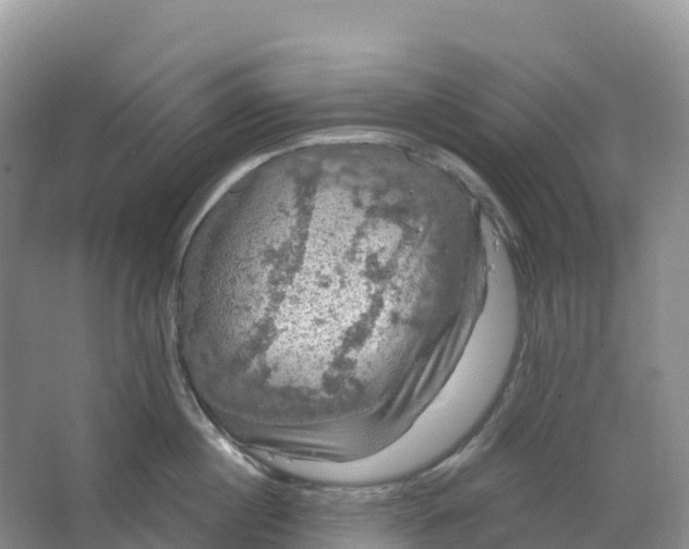 X0000064740860200602241754