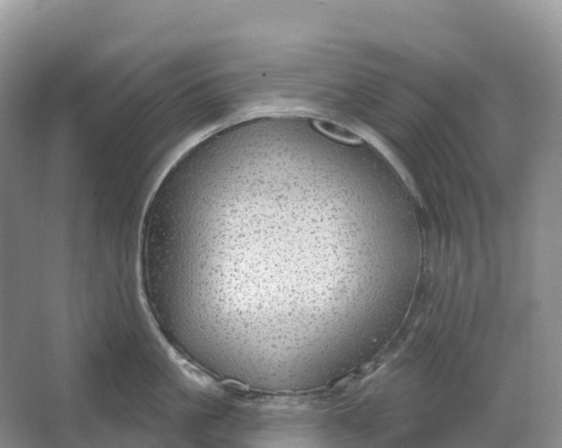 X0000064740861200602241754