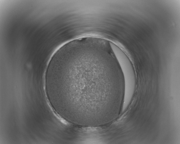 X0000064740862200602241754