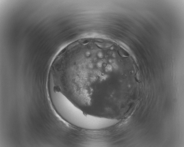 X0000064740863200602241754