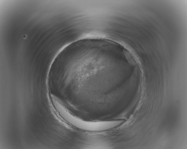 X0000064740864200602241754