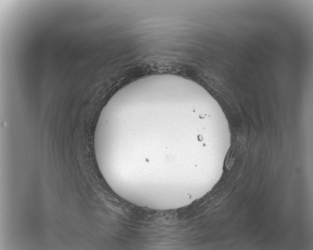 X0000064740865200602241753