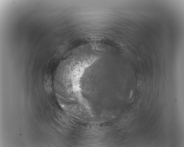 X0000064740866200602241753