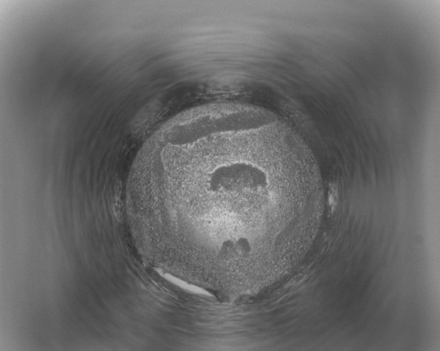 X0000064740867200602241753