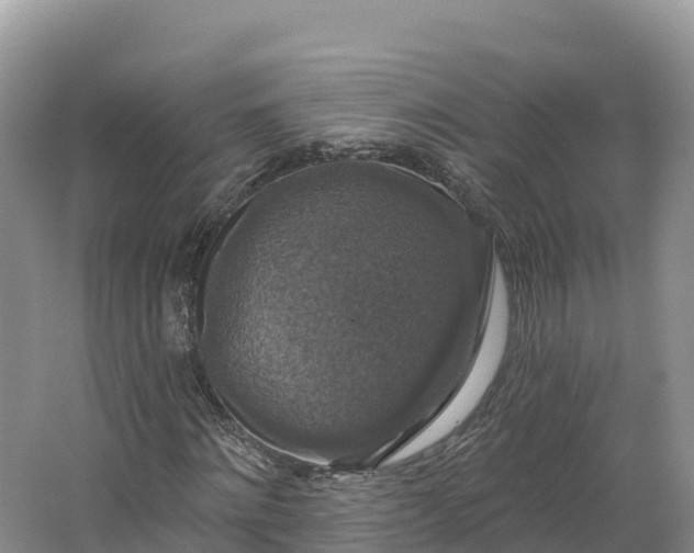 X0000064740868200602241753