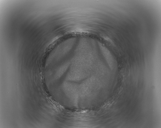 X0000064740870200602241753