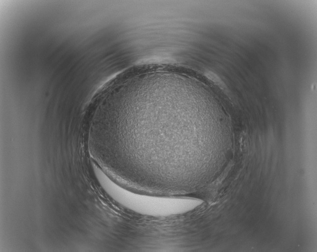 X0000064740872200602241753