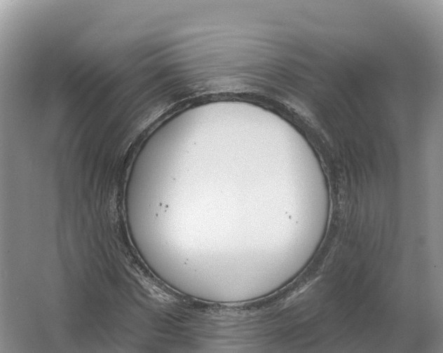 X0000064740873200602241753