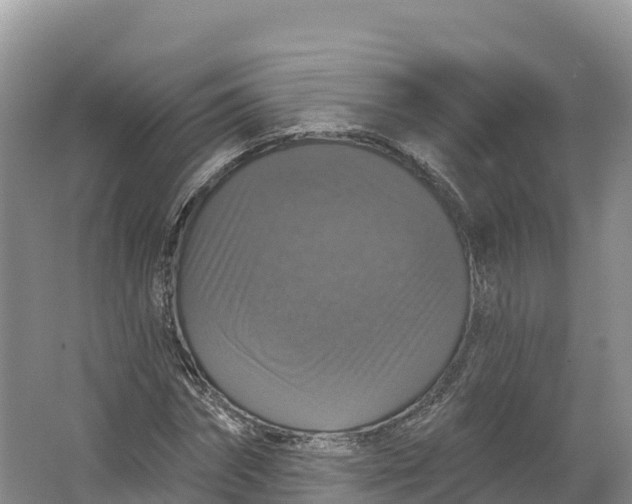 X0000064740874200602241753