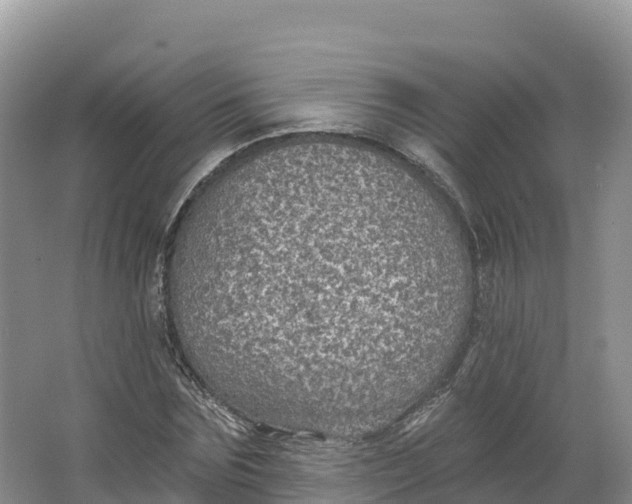 X0000064740875200602241753