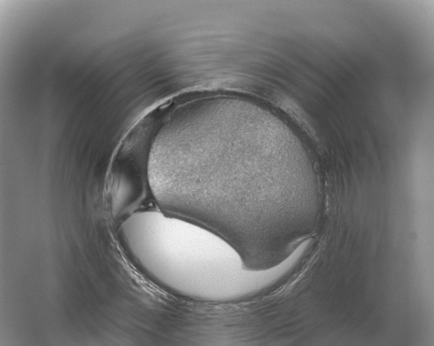 X0000064740876200602241753