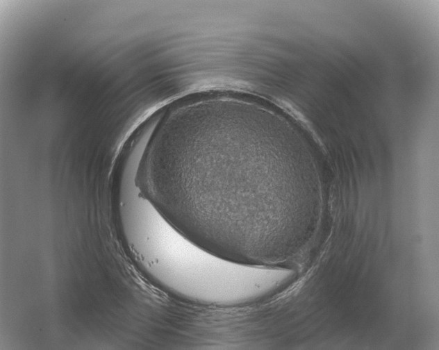 X0000064740877200602241753