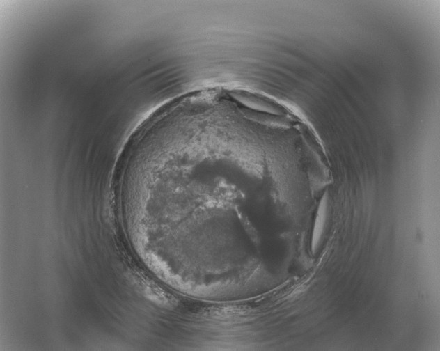 X0000064740879200602241753