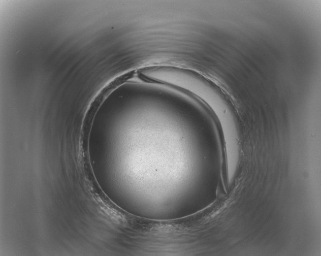 X0000064740880200602241753