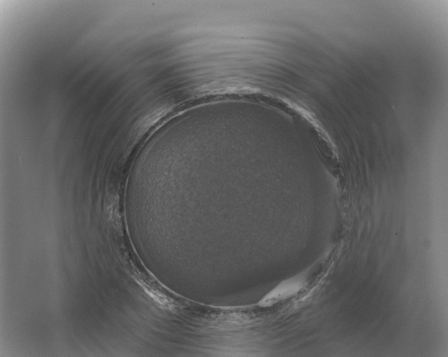 X0000064740881200602241753