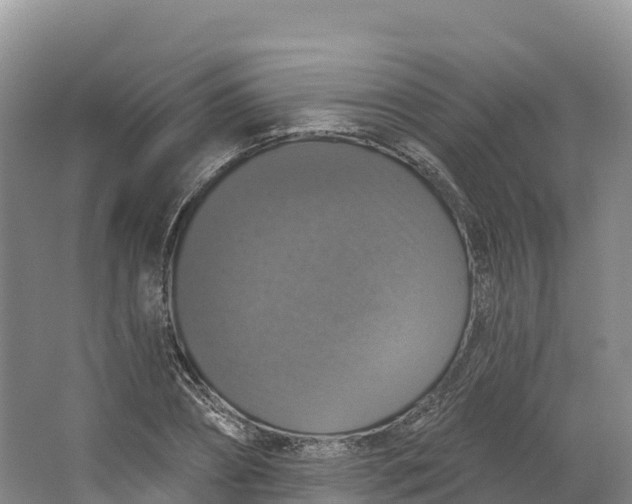 X0000064740882200602241753