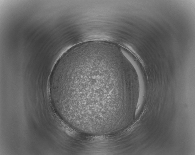 X0000064740883200602241753