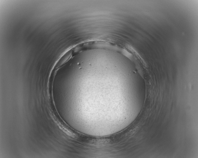 X0000064740884200602241753