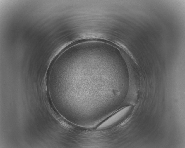 X0000064740885200602241753