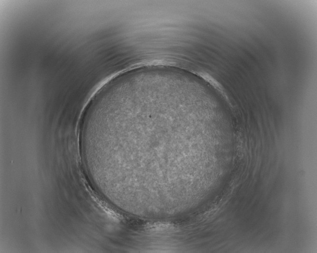 X0000064740886200602241753