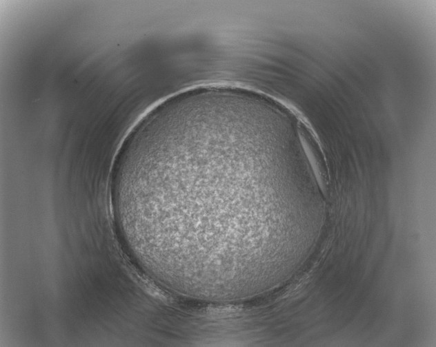 X0000064740887200602241753