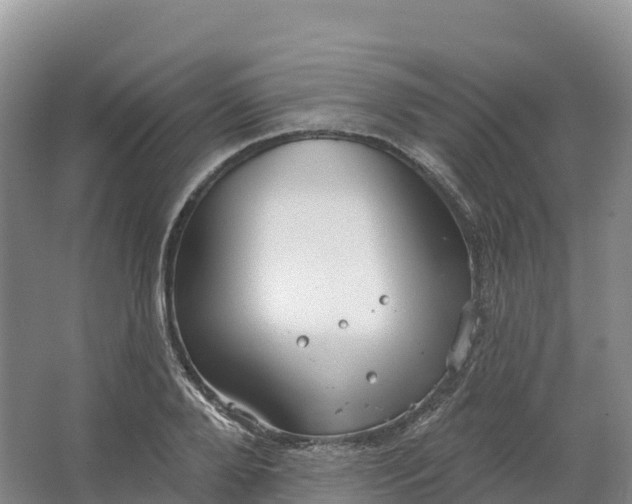 X0000064740888200602241753