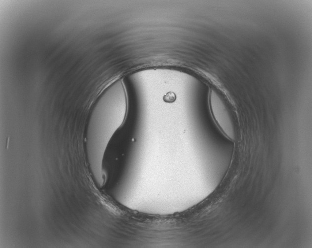 X0000064740889200602241753