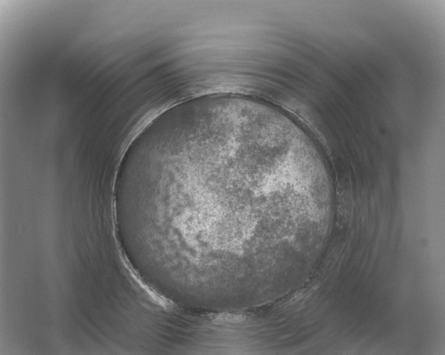 X0000064740890200602241753