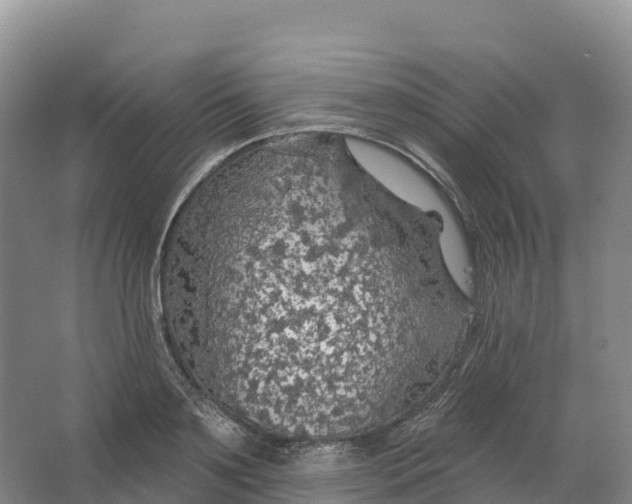 X0000064740891200602241753