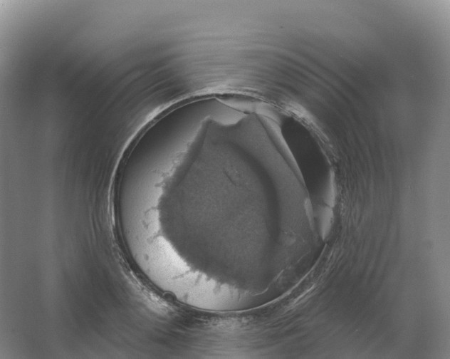 X0000064740892200602241753