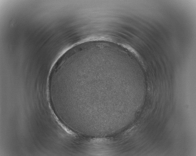 X0000064740894200602241752