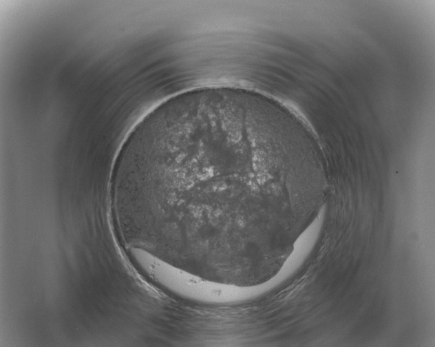 X0000064740895200602241752