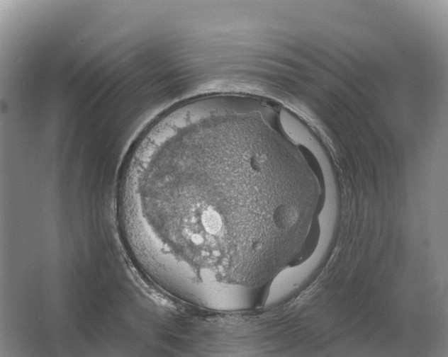 X0000064740896200602241752