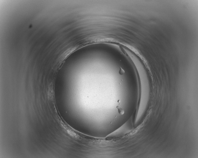 X0000064740897200602241752