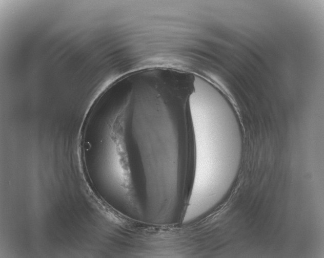 X0000064740899200602241752