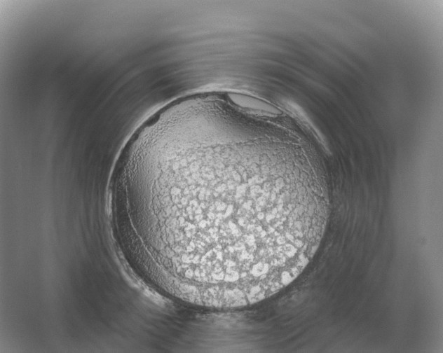 X0000064740900200602241752