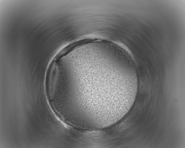 X0000064740902200602241752