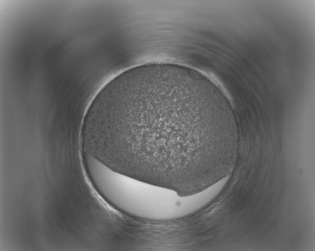 X0000064740903200602241752