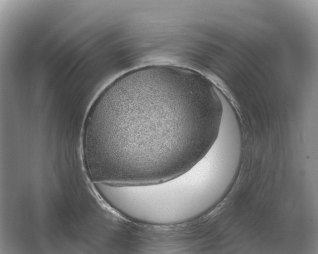 X0000064740904200602241752