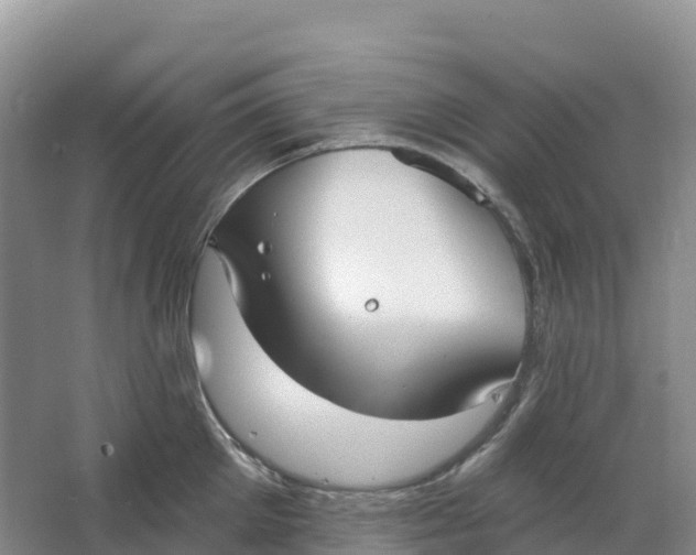 X0000064740905200602241752