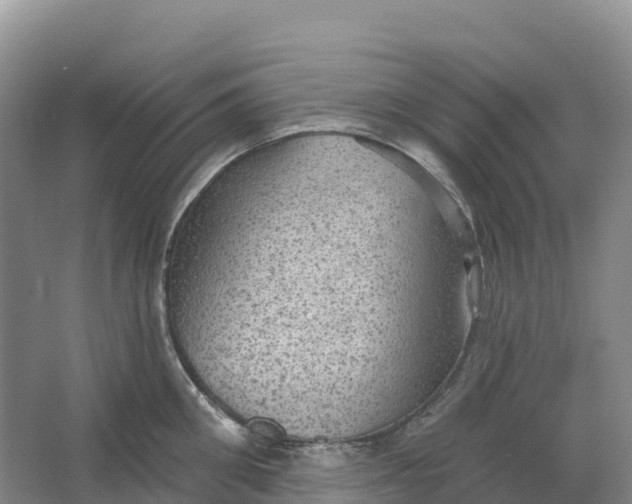 X0000064740906200602241752